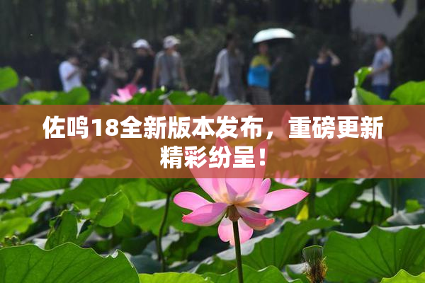 佐鸣18全新版本发布，重磅更新精彩纷呈！