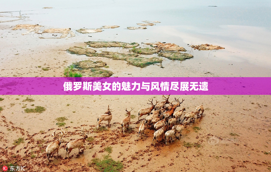俄罗斯美女的魅力与风情尽展无遗