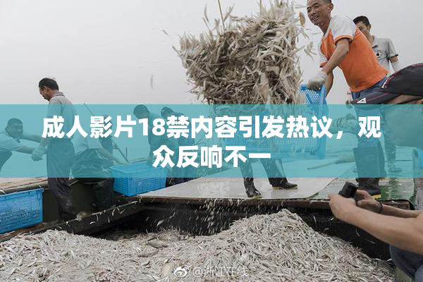 成人影片18禁内容引发热议，观众反响不一