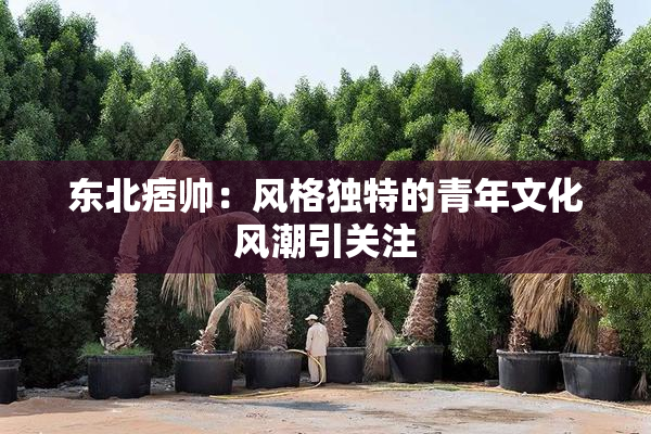 东北痞帅：风格独特的青年文化风潮引关注