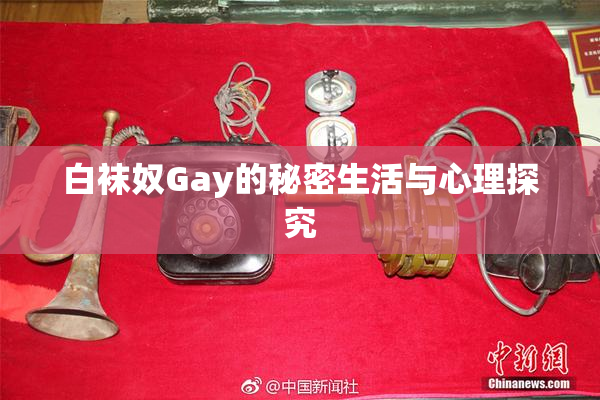 白袜奴Gay的秘密生活与心理探究