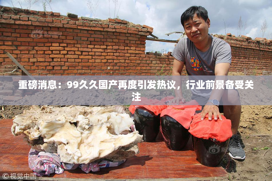 重磅消息：99久久国产再度引发热议，行业前景备受关注