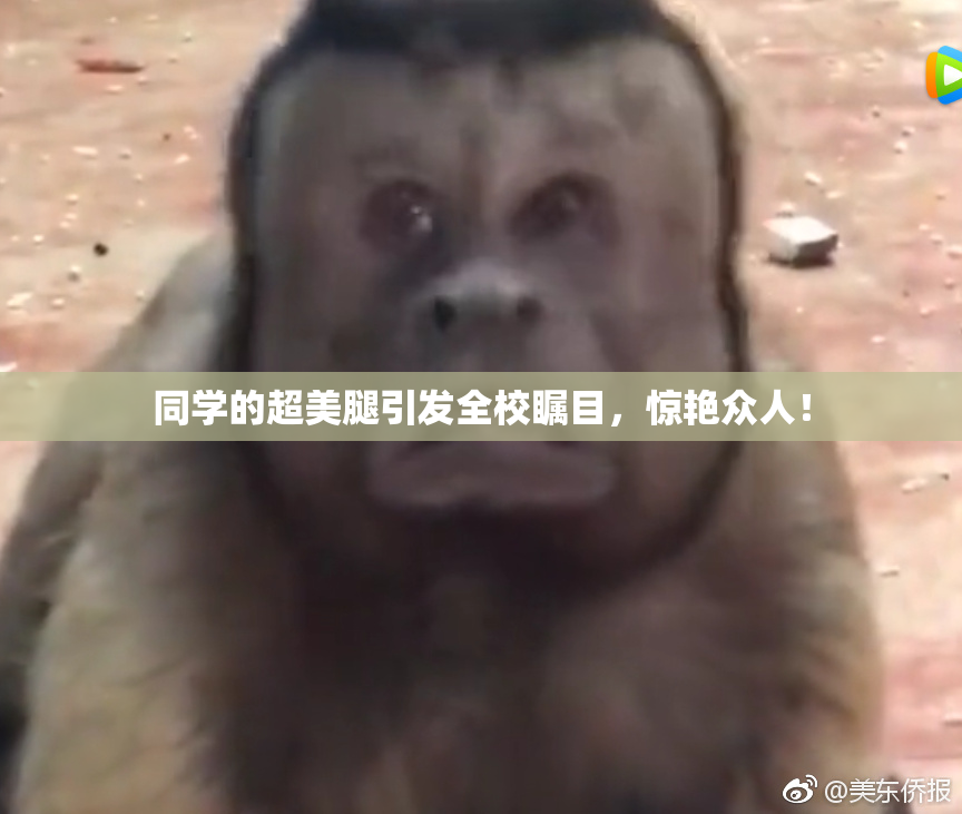 同学的超美腿引发全校瞩目，惊艳众人！