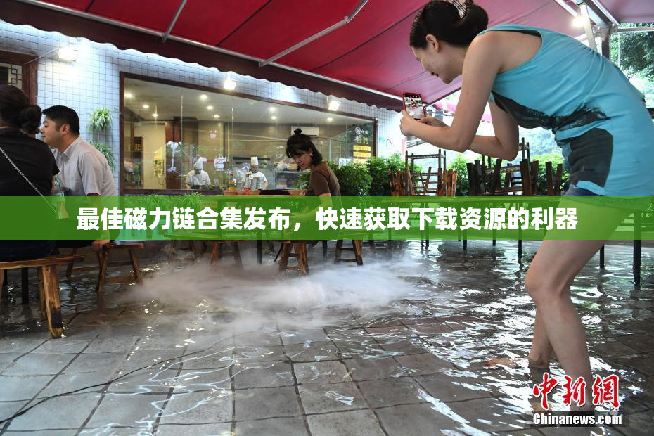 最佳磁力链合集发布，快速获取下载资源的利器