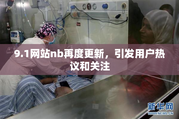 9.1网站nb再度更新，引发用户热议和关注