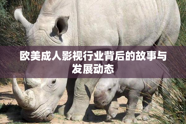 欧美成人影视行业背后的故事与发展动态