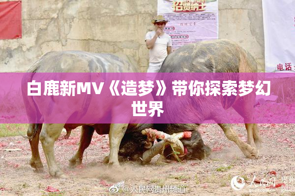 白鹿新MV《造梦》带你探索梦幻世界