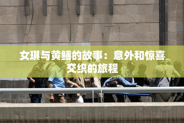 女琪与黄鳝的故事：意外和惊喜交织的旅程
