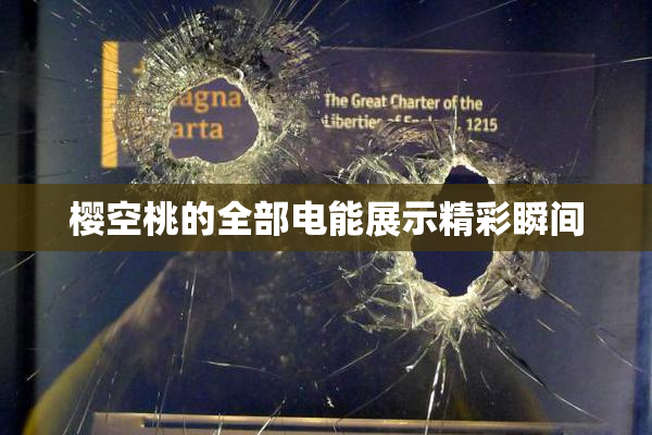 樱空桃的全部电能展示精彩瞬间