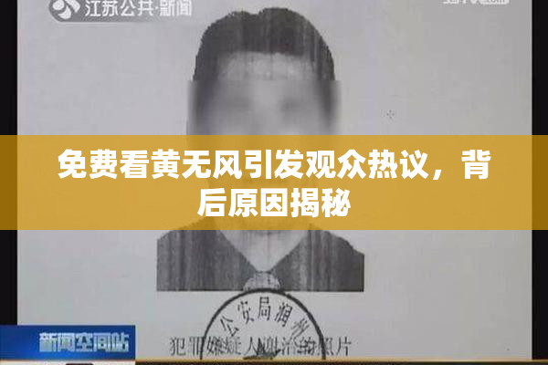 免费看黄无风引发观众热议，背后原因揭秘