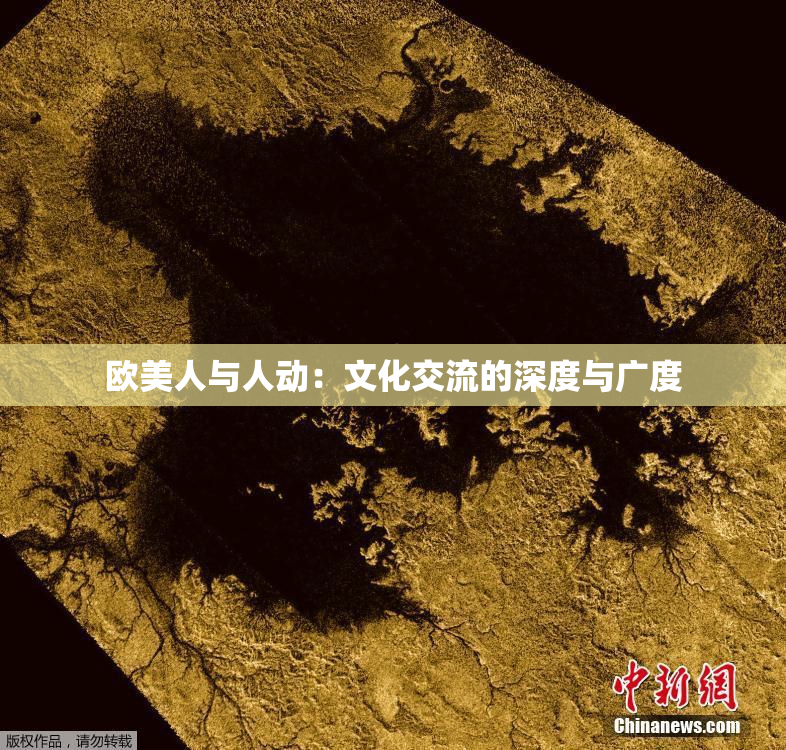 欧美人与人动：文化交流的深度与广度
