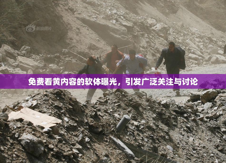 免费看黄内容的软体曝光，引发广泛关注与讨论