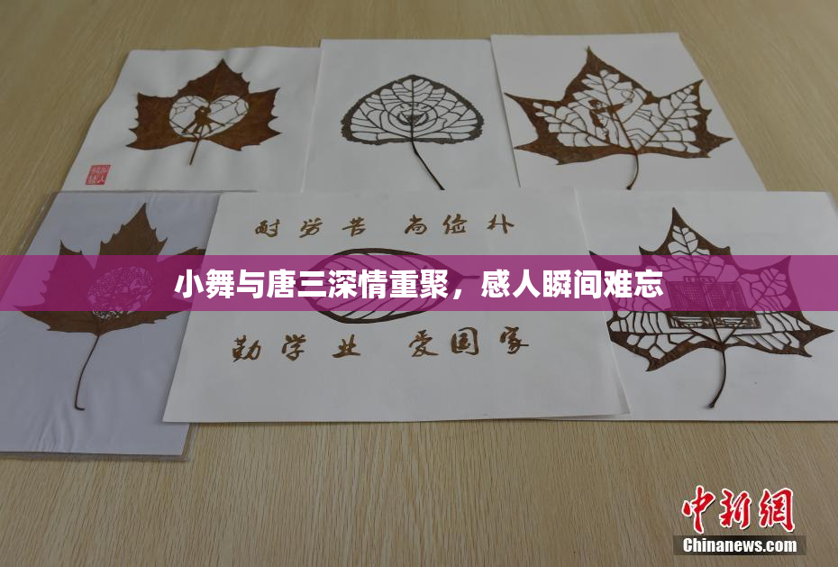 小舞与唐三深情重聚，感人瞬间难忘
