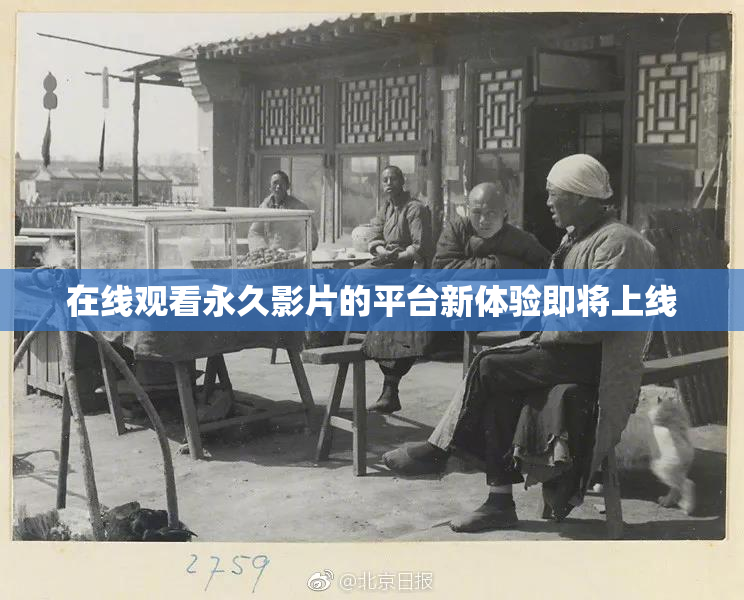 在线观看永久影片的平台新体验即将上线