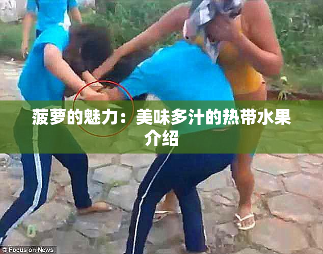 菠萝的魅力：美味多汁的热带水果介绍