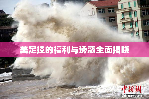 美足控的福利与诱惑全面揭晓