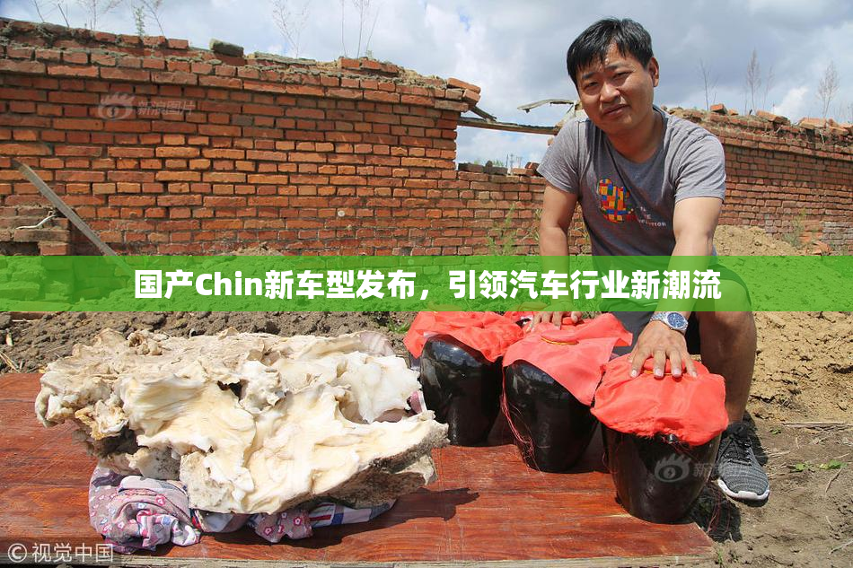 国产Chin新车型发布，引领汽车行业新潮流
