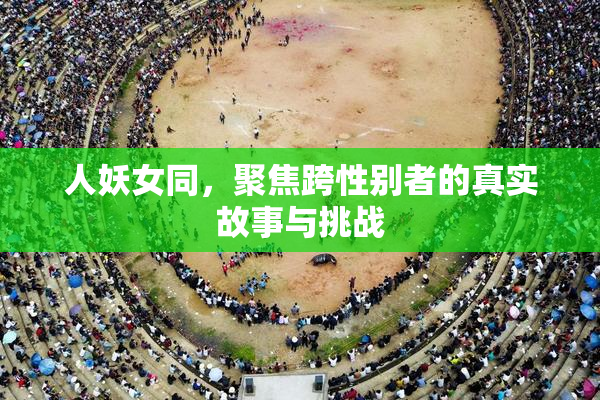 人妖女同，聚焦跨性别者的真实故事与挑战