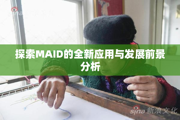 探索MAID的全新应用与发展前景分析