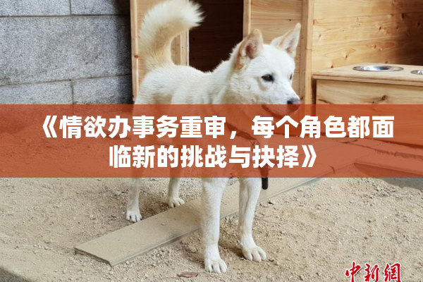 《情欲办事务重审，每个角色都面临新的挑战与抉择》