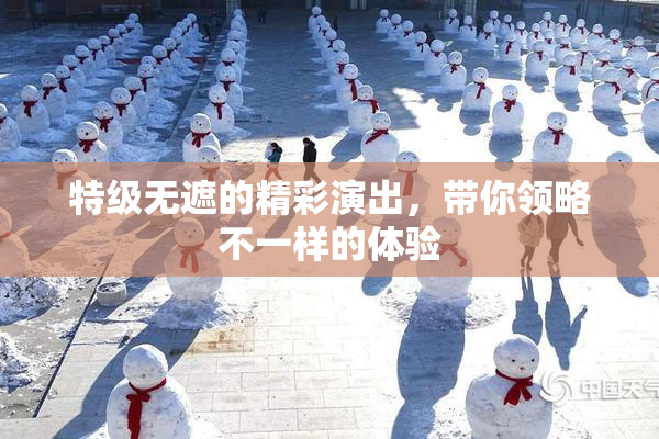特级无遮的精彩演出，带你领略不一样的体验