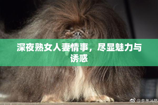 深夜熟女人妻情事，尽显魅力与诱惑