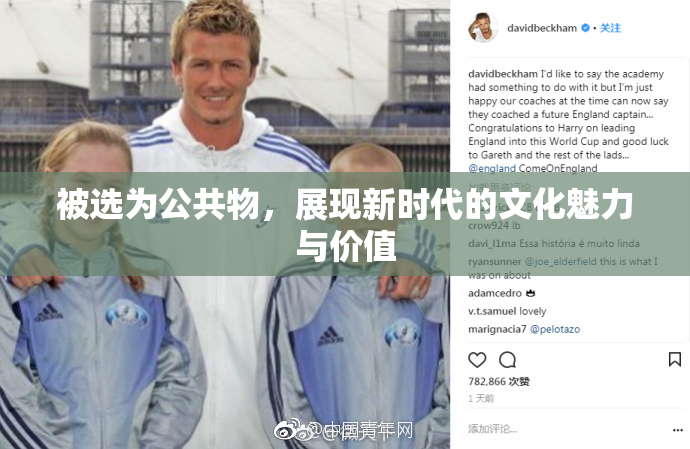 被选为公共物，展现新时代的文化魅力与价值