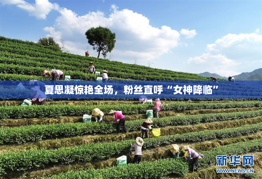 夏思凝惊艳全场，粉丝直呼“女神降临”