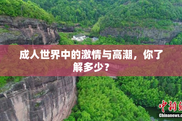 成人世界中的激情与高潮，你了解多少？