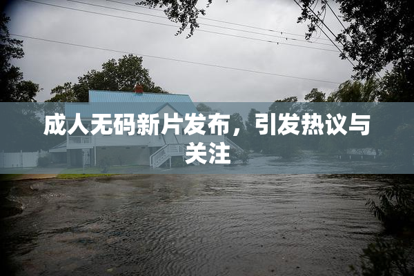 成人无码新片发布，引发热议与关注