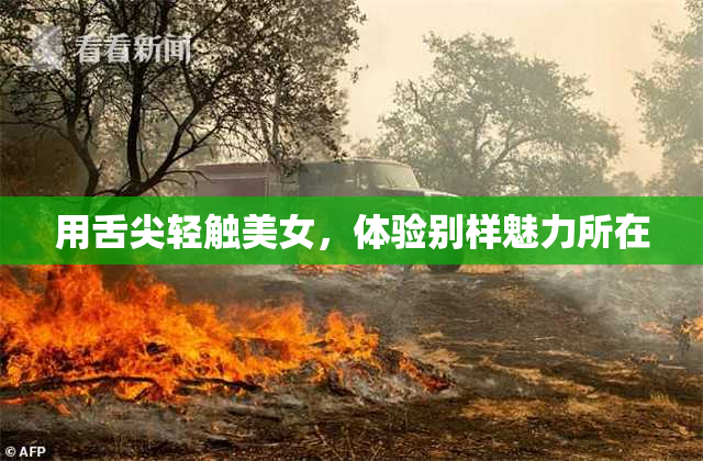 用舌尖轻触美女，体验别样魅力所在