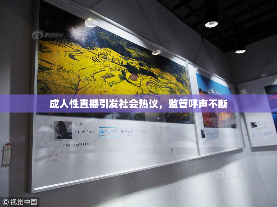 成人性直播引发社会热议，监管呼声不断