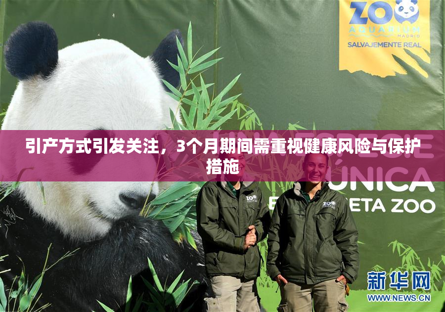 引产方式引发关注，3个月期间需重视健康风险与保护措施