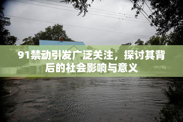 91禁动引发广泛关注，探讨其背后的社会影响与意义