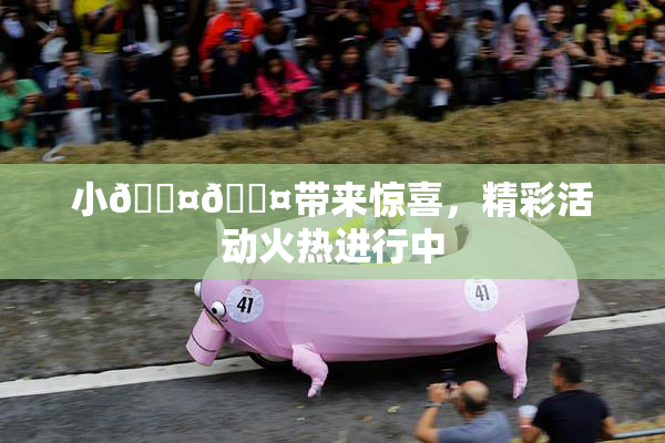 小🐤🐤带来惊喜，精彩活动火热进行中