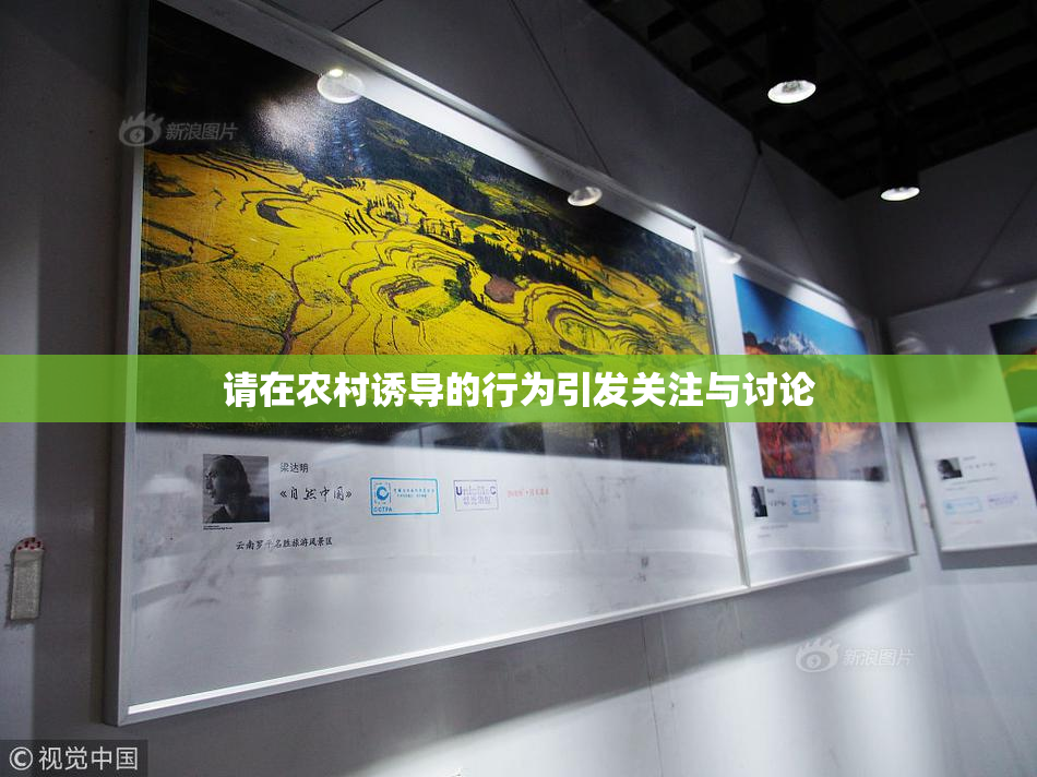 请在农村诱导的行为引发关注与讨论
