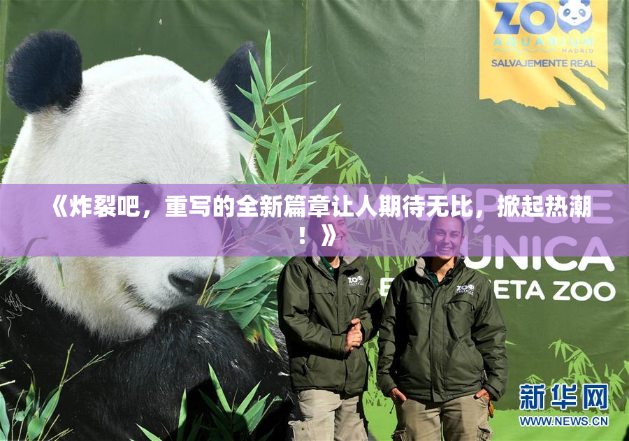 《炸裂吧，重写的全新篇章让人期待无比，掀起热潮！》