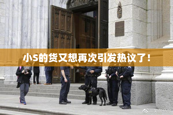 小S的货又想再次引发热议了！