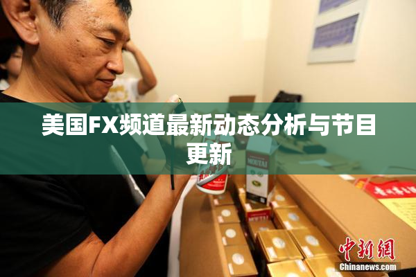 美国FX频道最新动态分析与节目更新