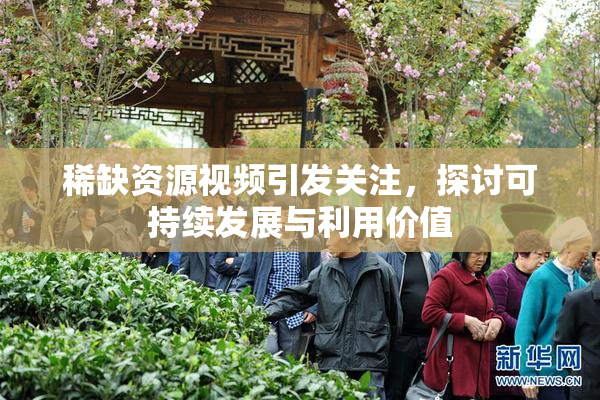 稀缺资源视频引发关注，探讨可持续发展与利用价值