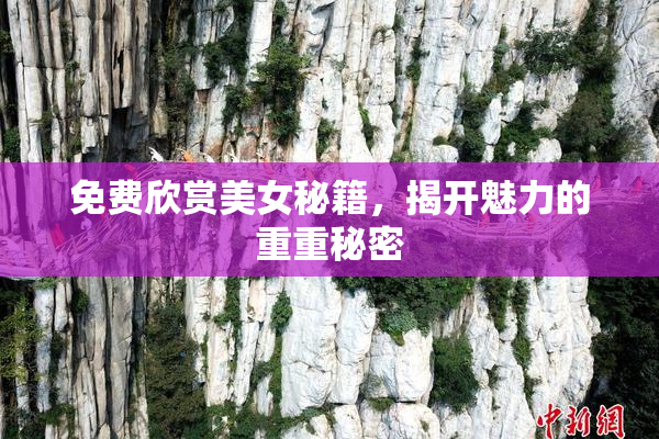 免费欣赏美女秘籍，揭开魅力的重重秘密