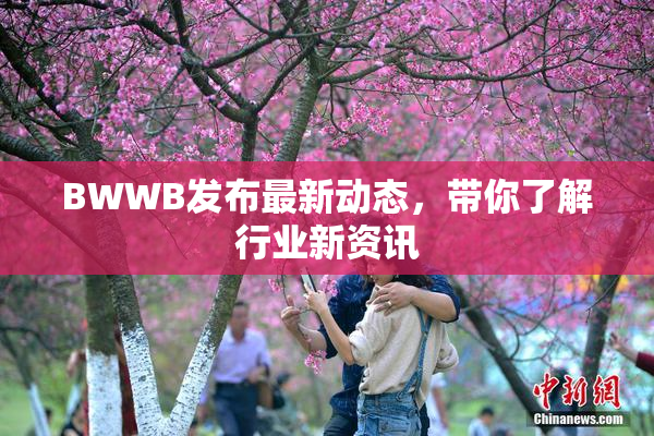 BWWB发布最新动态，带你了解行业新资讯