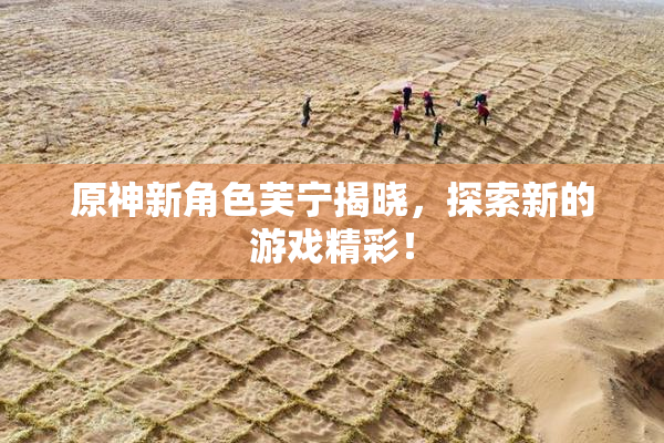 原神新角色芙宁揭晓，探索新的游戏精彩！