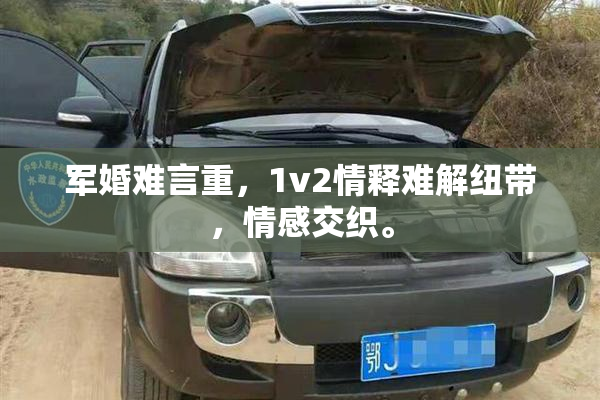 军婚难言重，1v2情释难解纽带，情感交织。