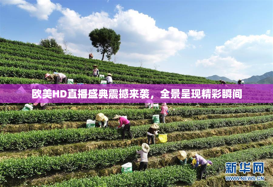 欧美HD直播盛典震撼来袭，全景呈现精彩瞬间