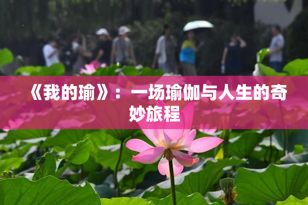 《我的瑜》：一场瑜伽与人生的奇妙旅程