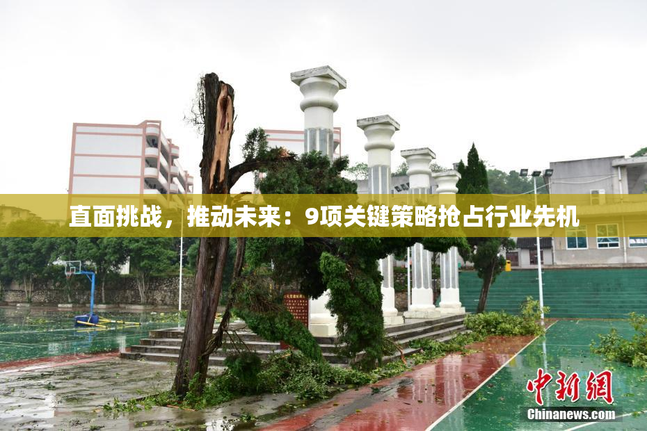 直面挑战，推动未来：9项关键策略抢占行业先机