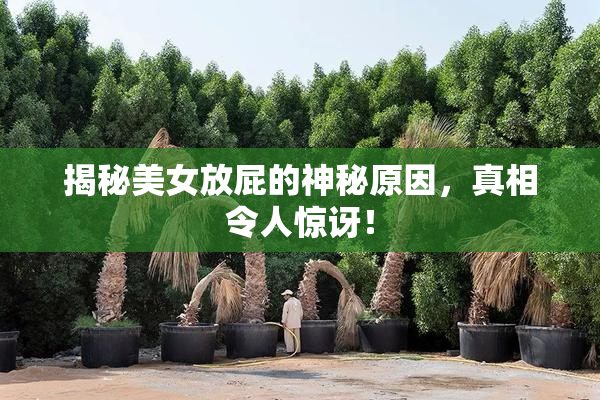 揭秘美女放屁的神秘原因，真相令人惊讶！