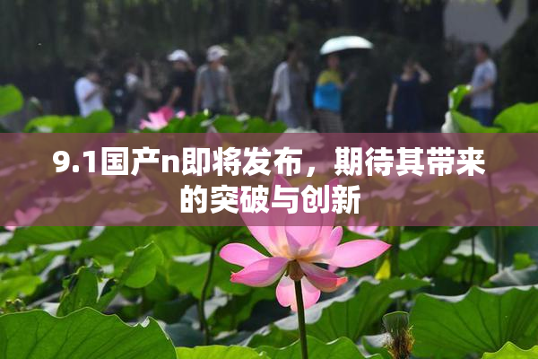9.1国产n即将发布，期待其带来的突破与创新