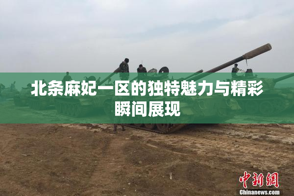 北条麻妃一区的独特魅力与精彩瞬间展现